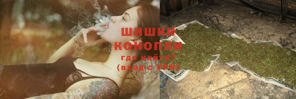 индика Каменск-Шахтинский