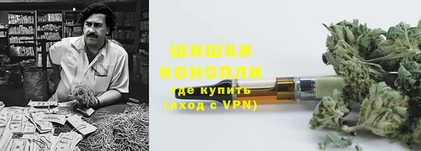 индика Каменск-Шахтинский