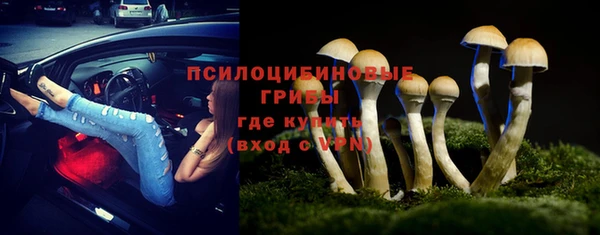 индика Каменск-Шахтинский
